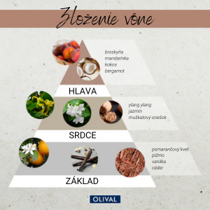 magický rad zloženie vône